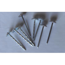 Galvanized Roofing Nails with Rubber